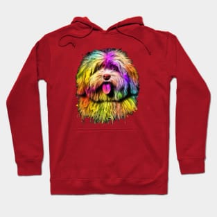 Fluffy Havanese Photo Art Hoodie